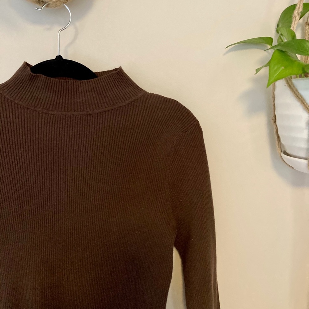 Kim Rogers brown turtle neck